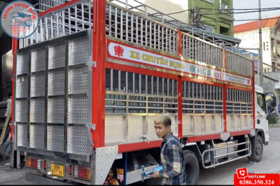 MẪU ĐÓNG THÙNG XE TẢI CHỞ LỢN 2024